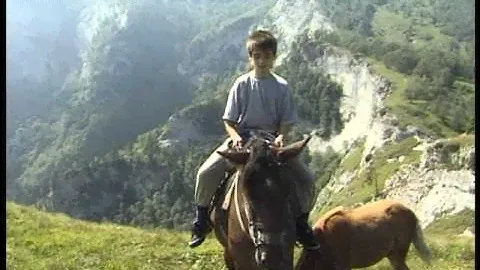 Свободный мир. Грифы Кавказа.